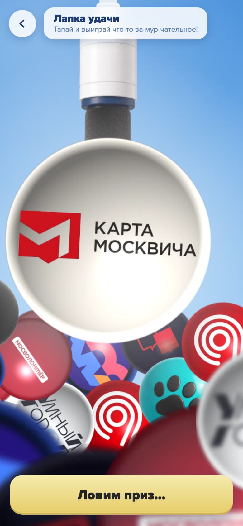 Лапа кота хватает шар с призом Карта москвича